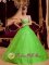 Spring Green Princess Appliques Decorate Organza Ruching Quinceanera Dress In Gold Coast QLD