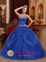 Hayward California/CA Appliques and Beading Blue For Affordable Quinceanera Dress Sweetheart Tulle