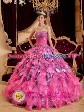 Manresa Spain Hot Pink Sweetheart Neckline Quinceanera Dress With Leopard and Organza Ruffled Skirt