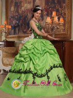 Popular Appliques Decorate BodiceSpring Green Dunblane Stirling Quinceanera Dress For Sweet Style Straps Taffeta Ball Gown(SKU QDZY396y-1BIZ)