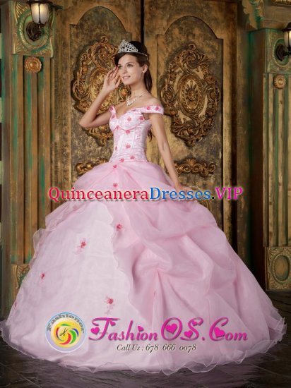 Romantic Pink Off The Shoulder Organza Quinceanera Dress With Colorful Flowers In Baldwin City Kansas/KS - Click Image to Close