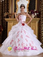 Bethune France Wonderful White A-Line / Princess Quinceanera Dress For Strapless Organza With Appliques And Hand Flower