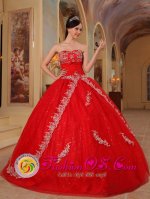 La Guajira colombia Appliques Decorate Bodice Red Ball Gown Floor length Sweetheart Quinceanera Dress For