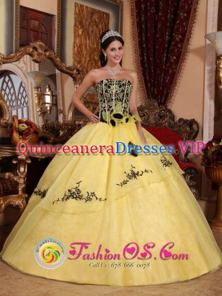 Maicao colombia Light Yellow For Beautiful Strapless Quinceanera Dress With Embroidery and Hand Made Flowers