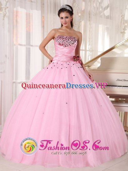 Bear Delaware/ DE Lovely Pink Beaded Decorate Bust and Ruched Bodice Sweet 16 Taffeta and Tulle Dress With Hand Made Flowers - Click Image to Close