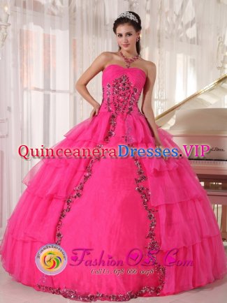 McMurray Pennsylvania/PA Paillette For Fashionable Hot Pink Quinceanera Dress With Sweetheart Organza