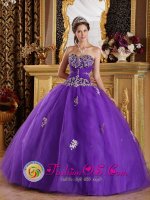 Rockville Centre NY Elegant Purple New Quinceanera Dress For Sweetheart Appliques Decorate Bodice Tulle Ball Gown