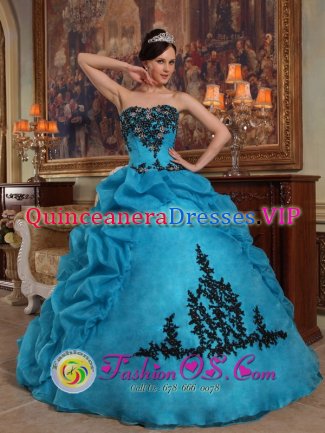 Sidney Nebraska/NE Custom Made Blue Pick-ups Quinceanera Gowns Strapless With Organza and Taffeta