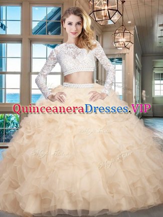 Stylish Scoop Long Sleeves Zipper Quinceanera Gowns Champagne Organza