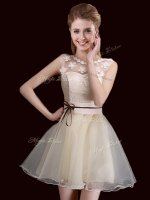 Flirting Scoop Sleeveless Quinceanera Dama Dress Mini Length Lace Champagne Organza