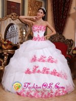 Winter Springs Florida/FL Appliques Organza Wholesale Sweet Quinceanera Dress(SKU QDZY684-GBIZ)