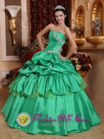 Appliques and Pick-ups For Low Price Apple Green Stylish Quinceanera Dress In Fayetteville West virginia/WV