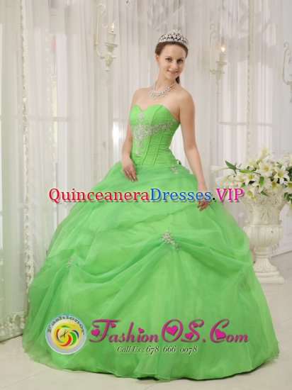 West Palm Beach FL Quinceanera Dress For Quinceanera With Spring Green Sweetheart neckline Floor-length - Click Image to Close