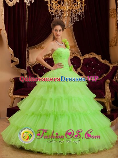 Neuss Stuuning Spring Green One Shoulder Ruffles Layered Quinceanera Cake Dress With A-line Princess In Illinois - Click Image to Close