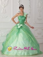 Snoqualmie Washington/WA One Shoulder Hand Made Flowers Decorate and Waist Apple Green Organza In Alabama