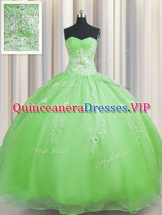 Trendy Zipper Up Organza Zipper Quinceanera Gowns Sleeveless Floor Length Beading and Appliques