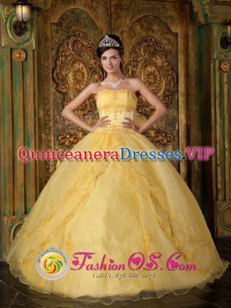 Flandreau South Dakota/SD Gorgeous Appliques Decorate Bodice Yellow Quinceanera Dress In New York Strapless Organza Ball Gown