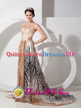 Kula Hawaii/HI Unique Empire Multi-color Strapless Court Train Special leopard and zebra print FabricQuinceanera Dama Dress