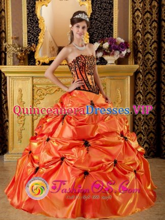 Starkville Mississippi/MS Strapless Embroidery and Appliques for Orange Sweet Pick-ups Quinceanera Dress Taffeta