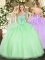 V-neck Sleeveless Lace Up Sweet 16 Dresses Apple Green Tulle