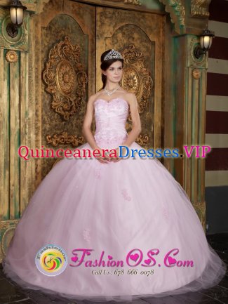 Shelburne Vermont/VT Baby Pink Pretty Sweetheart Ball Gown Quinceanera Dress With Appliques Decorate