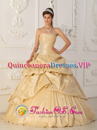 Linkoping Sweden A-Line / Princess Champagne Pick-ups Beading and Hand Made Flowers Strapless Quinceanera Dress