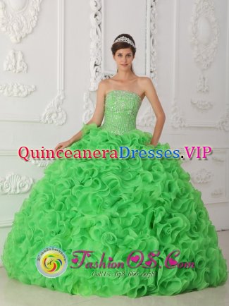 Helsinki Finland Beautiful Rolling Flowers Green Quinceanera Dress For Strapless Organza With Beading Ball Gown