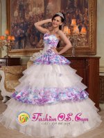 StanleyIdaho/ID Exquisite Hand Made Flowers Elegant Quinceanera Dress For Straps Organza and Printing Ball Gown(SKU QDZY426-HBIZ)