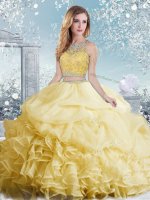 Organza Sleeveless Floor Length Vestidos de Quinceanera and Beading and Ruffles and Pick Ups