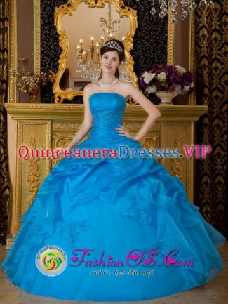 Bulle Switzerland Simple Sky Blue Strapless Appliques Organza Quinceanera Dress