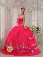 Wildwood Missouri/MO Stylish Wholesale Fushia Sweetheart Appliques Decorate Quinceanera Dresses Party Style