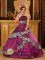 New Castle Delaware/ DE Stylish Embroidery Zebra Dark Purple Quinceanera Dress With Taffeta Ball Gown