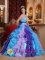 Kista Sweden Beading and Appliques Decorate Multi-color Stylish Quinceanera Dress With Sweetheart Neckline