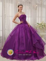 Hill City South Dakota/SD Customize Beaded Decorate Bust and Ruch Quinceanera Dresses Organza Eggplant Purple Strapless