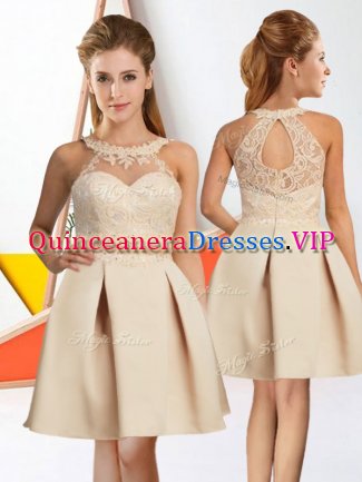 Inexpensive Champagne Sleeveless Chiffon Zipper Dama Dress for Quinceanera for Prom and Party