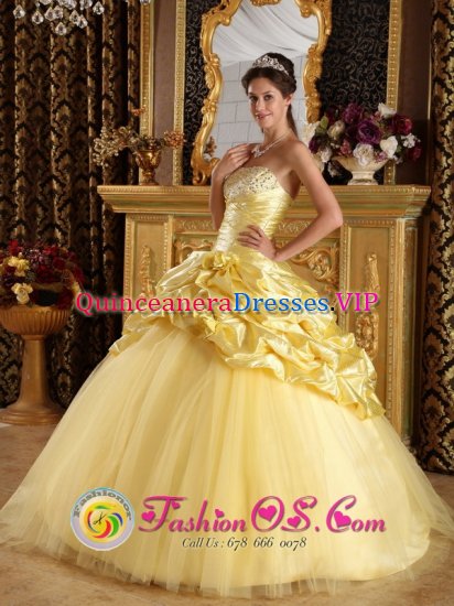 Ewing New Jersey/ NJ Custom Made Modest Beaded Decorate Yellow Quinceanera Dress With Hand Made Flowers And Pick-ups - Click Image to Close