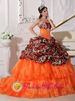 Lamarsh East Anglia Sexy And Chic Sweetheart Neckline With Brush Leopard and Organza Appliques Decorate Quinceanera Dress In Phoenix