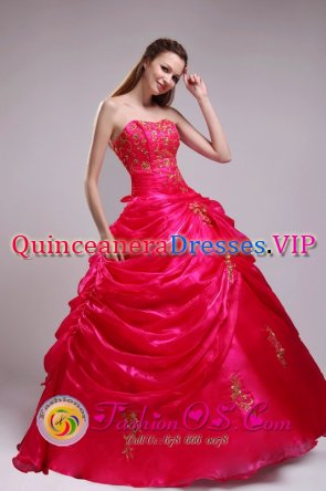 New City NY Sweetheart Appliques Decorate Pick-ups Inspired Red Quinceanera Dress