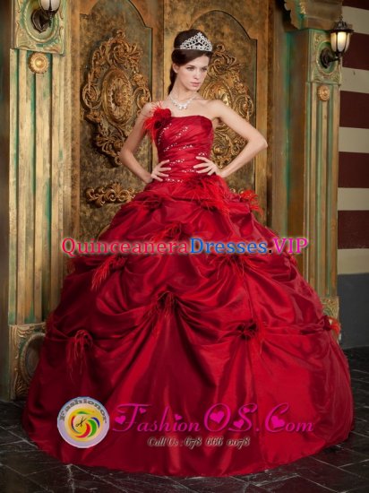 Flowers Ruched Bodice For Quinceanera Dress In Cambridge OntarioON - Click Image to Close