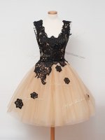 Top Selling Champagne Sleeveless Tulle Zipper Quinceanera Court of Honor Dress for Prom and Party and Wedding Party