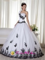 One Shoulder White Embroidery Decorate Floor-length Taffeta and Organza For Quinceanera Dress In Cooper City FL