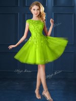 Tulle Bateau Cap Sleeves Lace Up Lace and Appliques Quinceanera Dama Dress in Yellow Green