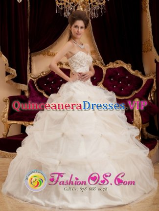 Venice FL Champagne Sweetheart Appliques Decorate Bodice Quinceanera Dresses With Pick-ups