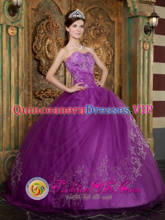 Tryon Carolina/NC Beautiful Purple Tempe Quinceanera Dress Appliques Sweetheart Strapless Tulle Ball Gown