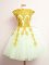 Chic Multi-color Lace Up Scalloped Appliques Damas Dress Tulle Sleeveless