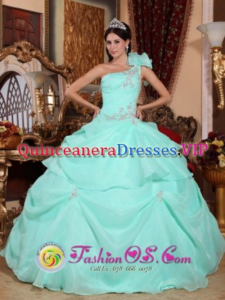 Fashionable Baby Blue One Shoulder Sweet 16 Dress With Appliques and Pick-ups For Formal Evening in Beaufort South Carolina S/C