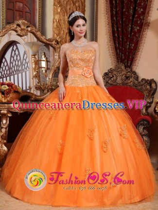 Escondido California/CA Sweetheart Embroidery Decorate Discount Quinceanera Dress