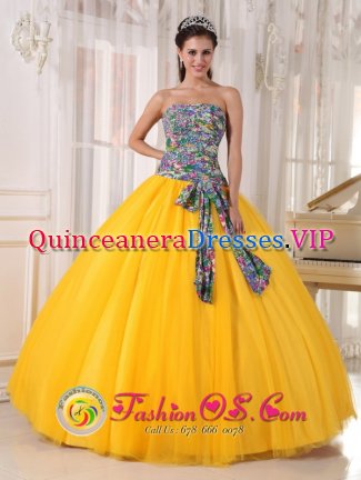 Bellaire TX Pretty Golden Yellow and Printing Quinceanera Dress For Strapless Bowknot Decorate Tulle Ball Gown