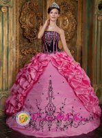 Riggins Idaho/ID Amaizng Rose Pink Embroidery Decorate Quinceanera Dress With Bubble Pick-ups(SKU QDZY044-ABIZ)