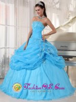 Hato Mayor del Rey Dominican Republic Lovely Baby Blue Strapless Organza Floor-length Ball Gown Appliques Quinceanera Dress with Pick-ups